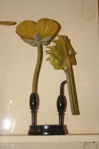 Brendel flower modelf a buttercup-Ranunculus Acris